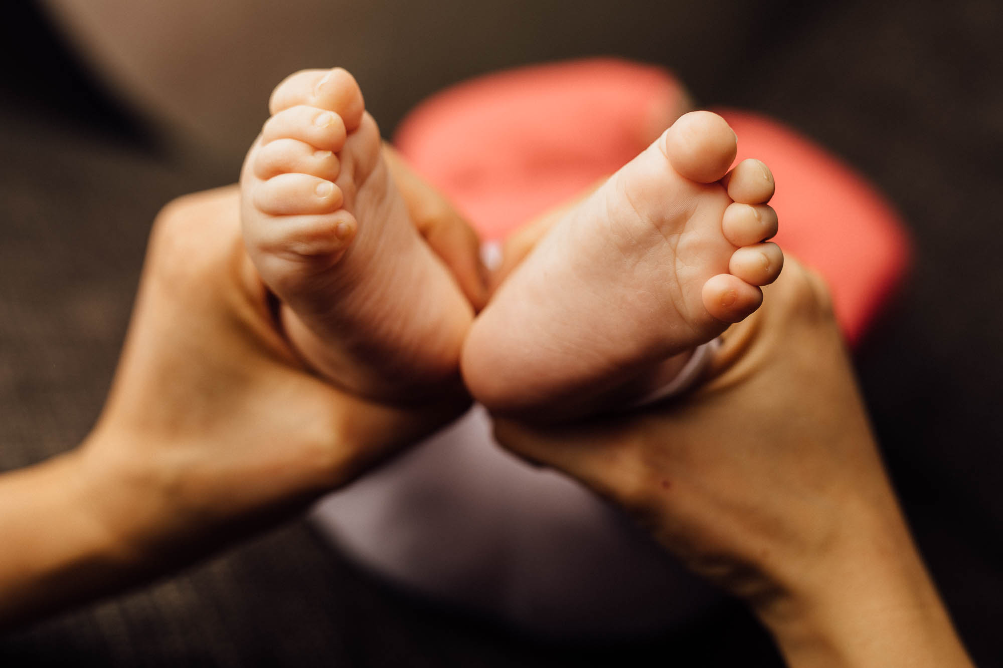 Export x3 5D4 0581 Familyfotoshooting 2020 Rossbach